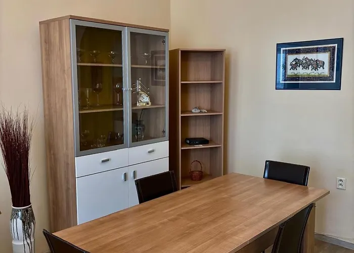 Nice Big Apartment In The City Center